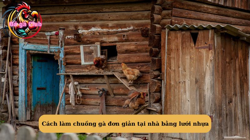 Cách làm chuồng gà đơn giản tại nhà bằng lưới nhựa