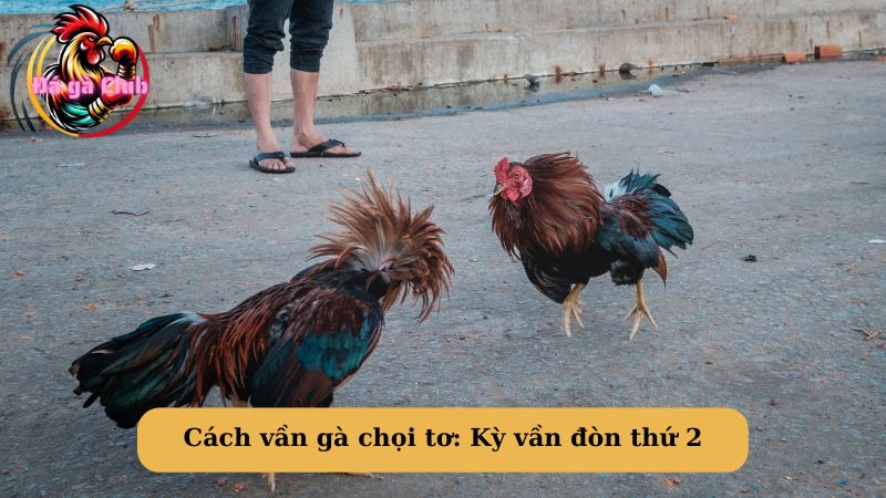 Cách vần gà chọi tơ: Kỳ vần đòn thứ 2