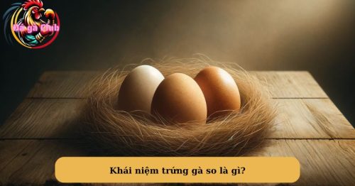 Trứng gà so là gì? Trứng gà so có lợi như thế nào?
