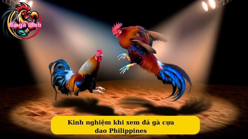 Kinh nghiệm khi xem đá gà cựa dao Philippines