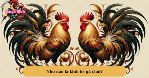 Bí quyết chơi đá gà theo quyển kinh kê gà chọi