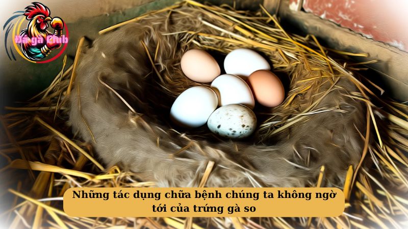 Những tác dụng chữa bệnh chúng ta không ngờ tới của trứng gà so