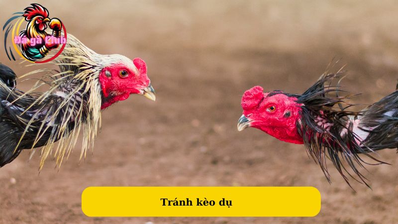 Tránh kèo dụ