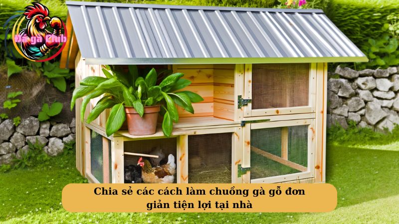 Chia sẻ các cách làm chuồng gà gỗ đơn giản tiện lợi tại nhà