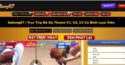 Sabong67: Trải Nghiệm Xem Và Cá Cược Đá Gà Trực Tiếp Đầy Thú Vị và An Toàn