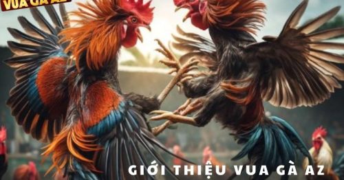 Vua Gà AZ – Theo dõi và cá cược đá gà dễ dàng